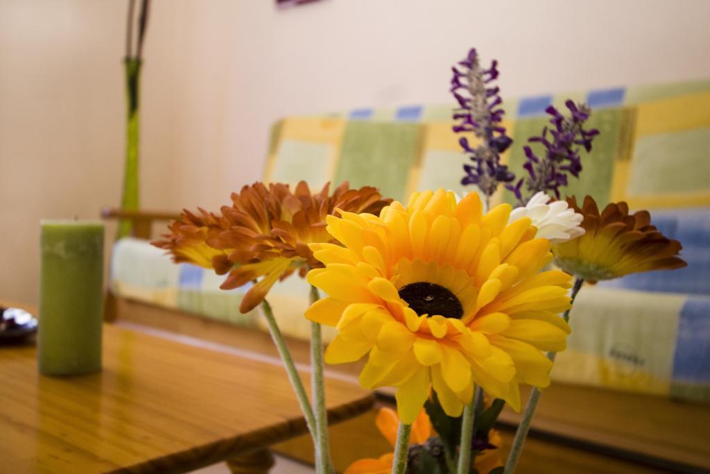 Apartamentos Dana Madrid Room photo